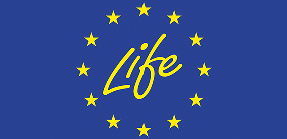 Valmet, Hera Group和Ayrion在欧盟资助的Life Steam项目上的合作