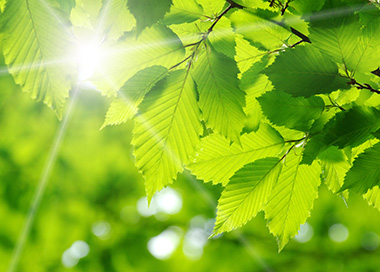 维美德可持续发展