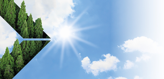 瓦尔麦特公司的气候计划需要坚实的一步