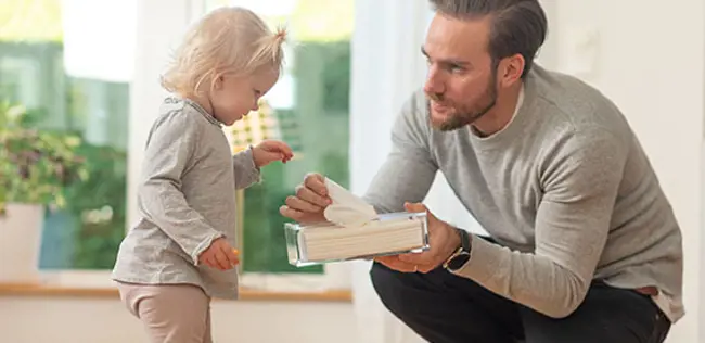 全球纸巾产业研究