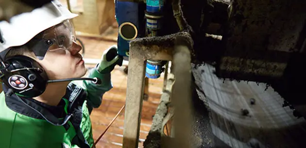 medial<s:1> o de sólidos secos(维美德DS)