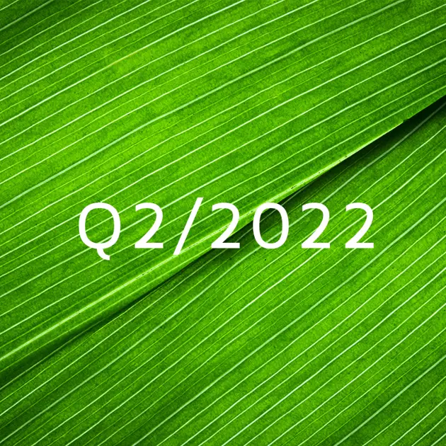 前三主题占据瓦尔麦特公司的分析师Q2/2022结果发布