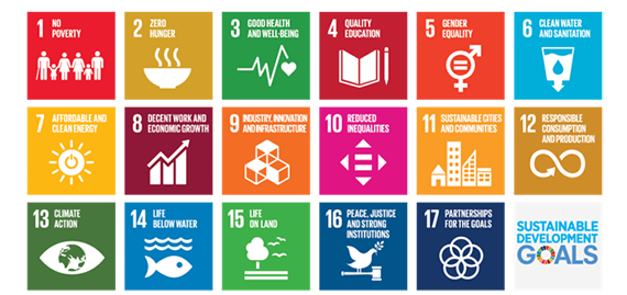 国連の持続可能な開発目標(UNSDGs)へのバルメットの影響