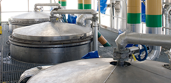 漂白的股票筛选