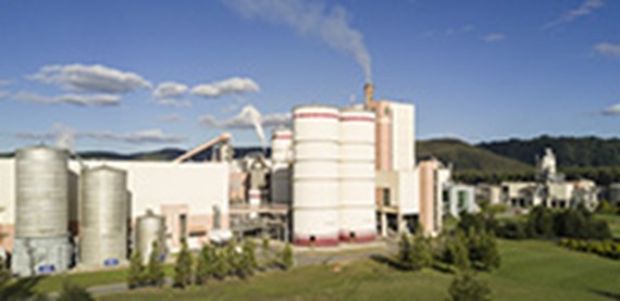 ARAUCO Valdivia工厂庆祝纺织纸浆生产成功一周年